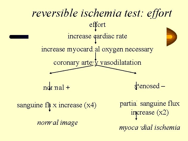 reversible ischemia test: effort increase cardiac rate increase myocardial oxygen necessary coronary artery vasodilatation