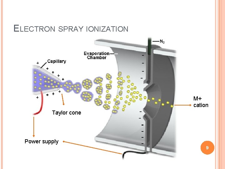 ELECTRON SPRAY IONIZATION M+ cation Taylor cone Power supply 9 