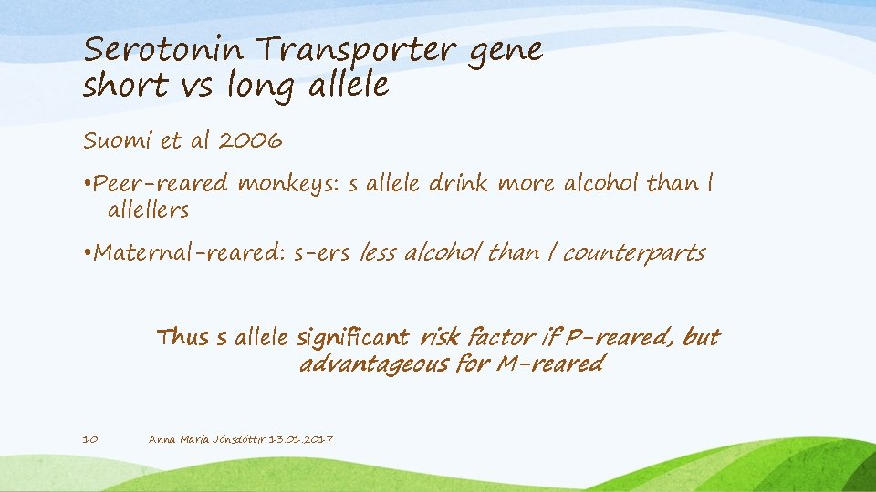Serotonin Transporter gene short vs long allele Suomi et al 2006 • Peer-reared monkeys: