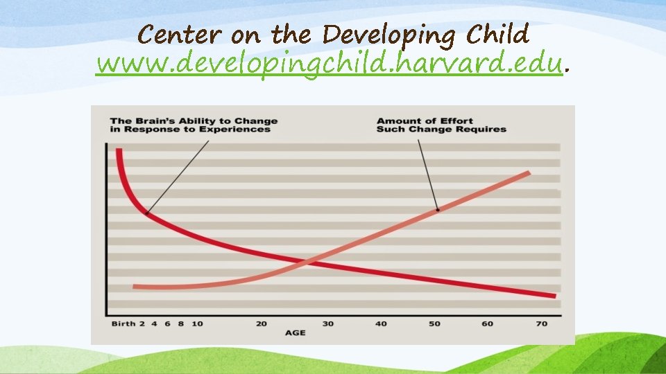 Center on the Developing Child www. developingchild. harvard. edu. 