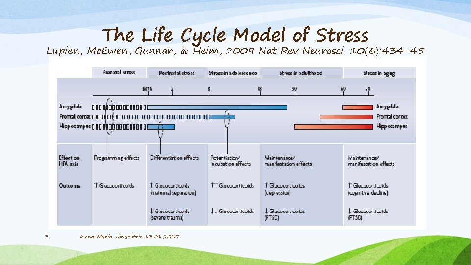 The Life Cycle Model of Stress Lupien, Mc. Ewen, Gunnar, & Heim, 2009 Nat