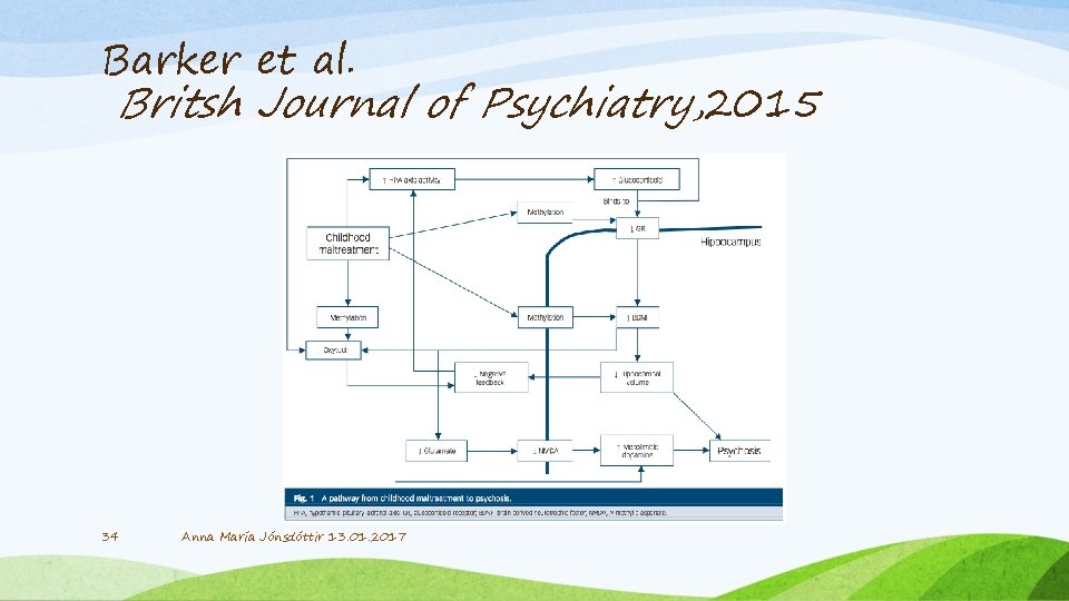 Barker et al. Britsh Journal of Psychiatry, 2015 34 Anna María Jónsdóttir 13. 01.