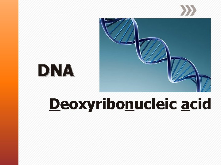 DNA Deoxyribonucleic acid 