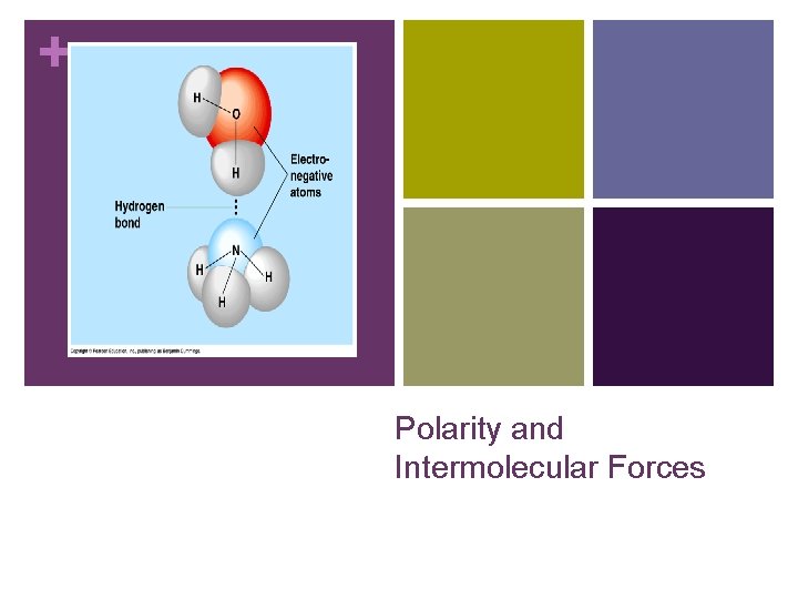 + Polarity and Intermolecular Forces 