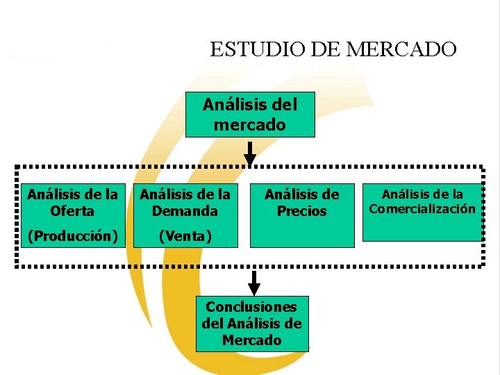 ESTUDIO DE MERCADO Análisis del mercado Análisis de la Oferta Análisis de la Demanda