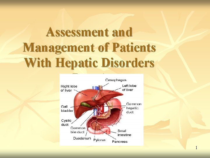 Assessment and Management of Patients With Hepatic Disorders Part 1 1 
