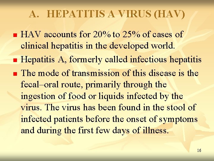 A. HEPATITIS A VIRUS (HAV) n n n HAV accounts for 20% to 25%
