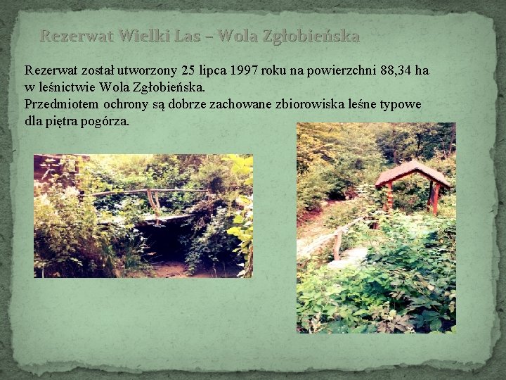 Rezerwat Wielki Las – Wola Zgłobieńska Rezerwat został utworzony 25 lipca 1997 roku na