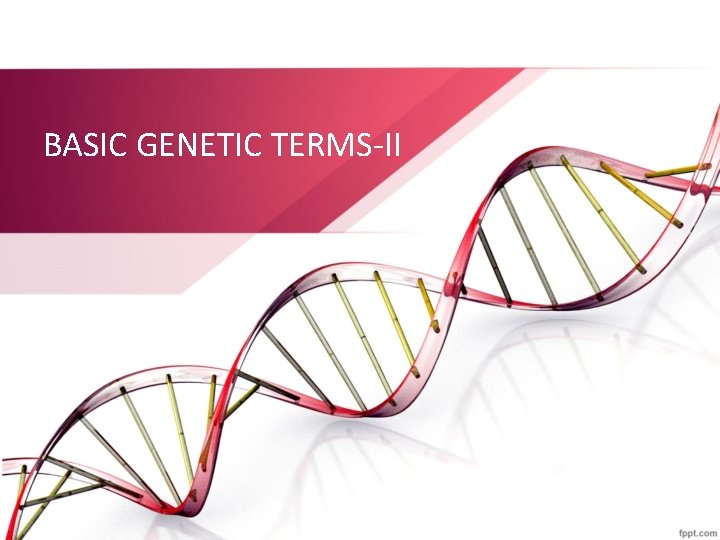 BASIC GENETIC TERMS-II 