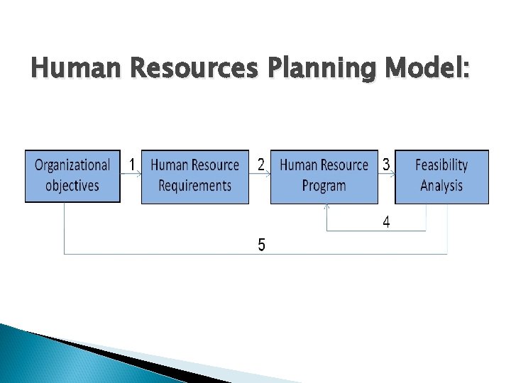 Human Resources Planning Model: 