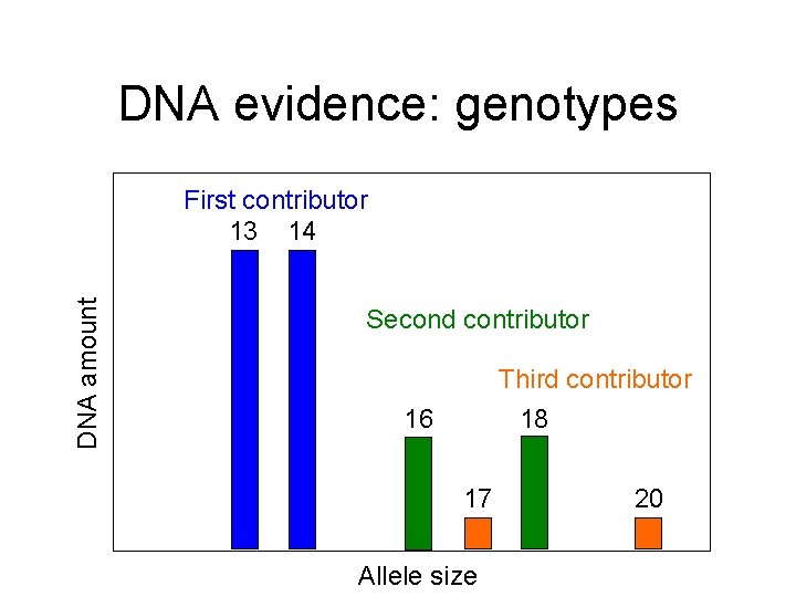 DNA evidence: genotypes DNA amount First contributor 13 14 Second contributor Third contributor 18