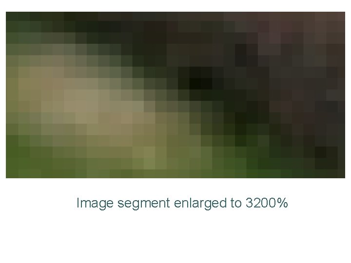 Image segment enlarged to 3200% 