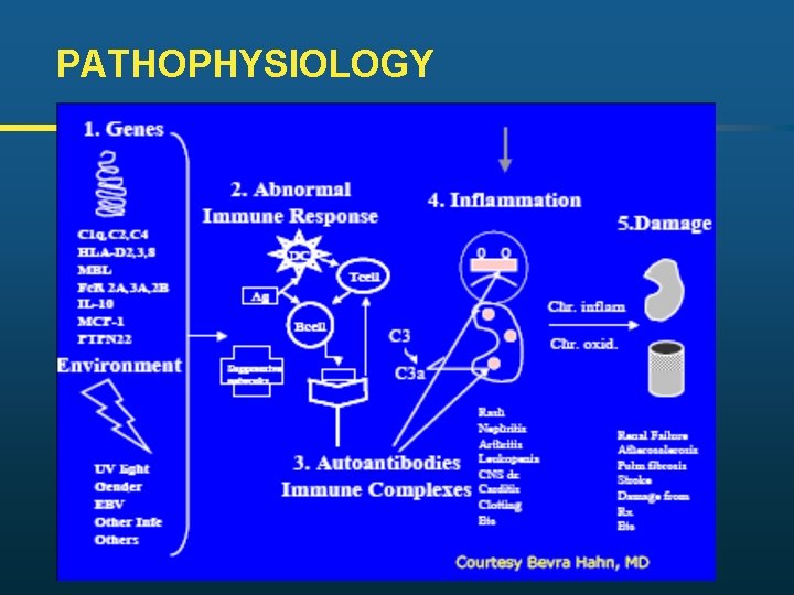 PATHOPHYSIOLOGY 