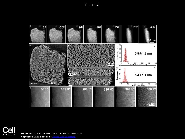 Figure 4 Matter 2020 21244 -1259 DOI: (10. 1016/j. matt. 2020. 02. 002) Copyright