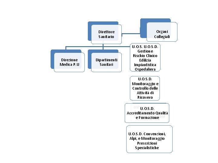 Organi Collegiali Direttore Sanitario Direzione Medica P. U Dipartimenti Sanitari U. O. S. D.