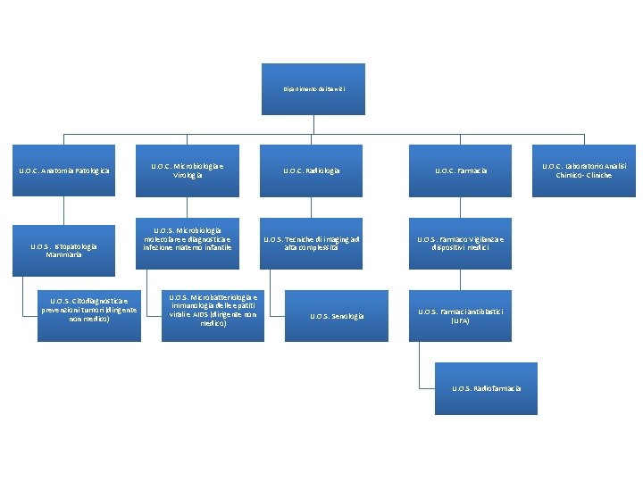 Dipartimento dei Servizi U. O. C. Anatomia Patologica U. O. S. Istopatologia Mammaria U.