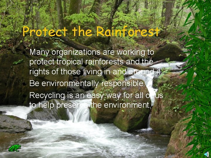 Protect the Rainforest Many organizations are working to protect tropical rainforests and the rights