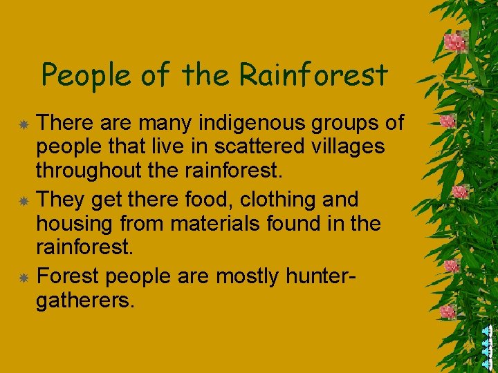 People of the Rainforest There are many indigenous groups of people that live in