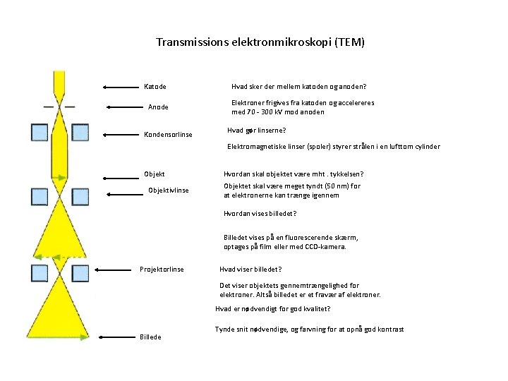 Transmissions elektronmikroskopi (TEM) Katode Anode Kondensorlinse Hvad sker der mellem katoden og anoden? Elektroner