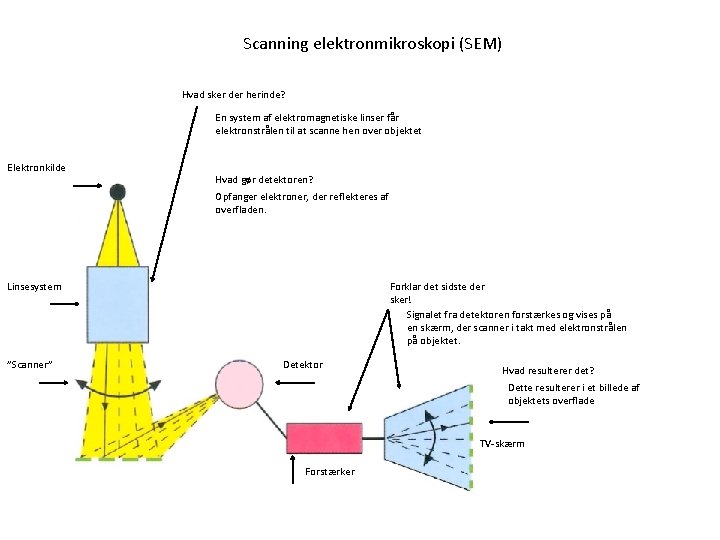 Scanning elektronmikroskopi (SEM) Hvad sker der herinde? En system af elektromagnetiske linser får elektronstrålen