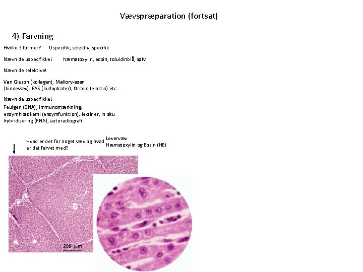 Vævspræparation (fortsat) 4) Farvning Hvilke 3 former? Uspecifik, selektiv, specifik Nævn de uspecifikke! hæmatoxylin,