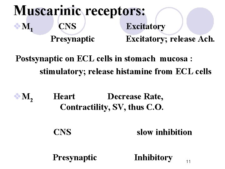 Muscarinic receptors: v M 1 CNS Presynaptic Excitatory; release Ach. Postsynaptic on ECL cells
