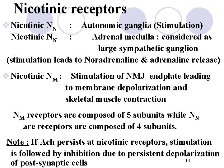 Nicotinic receptors v Nicotinic NN : Autonomic ganglia (Stimulation) : Adrenal medulla : considered