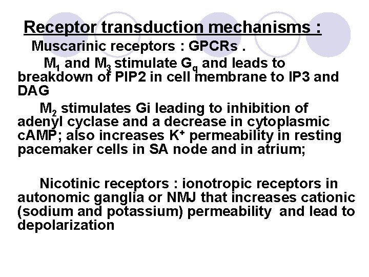 Receptor transduction mechanisms : Muscarinic receptors : GPCRs. M 1 and M 3 stimulate
