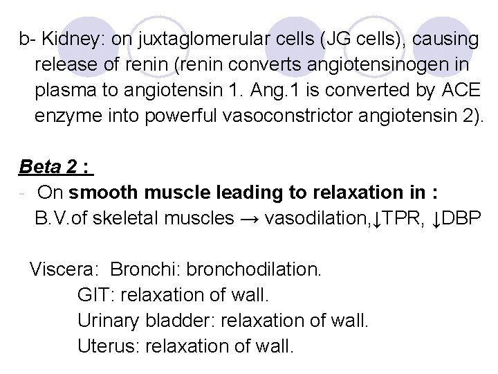 b- Kidney: on juxtaglomerular cells (JG cells), causing release of renin (renin converts angiotensinogen