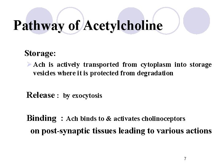 Pathway of Acetylcholine Storage: Ø Ach is actively transported from cytoplasm into storage vesicles