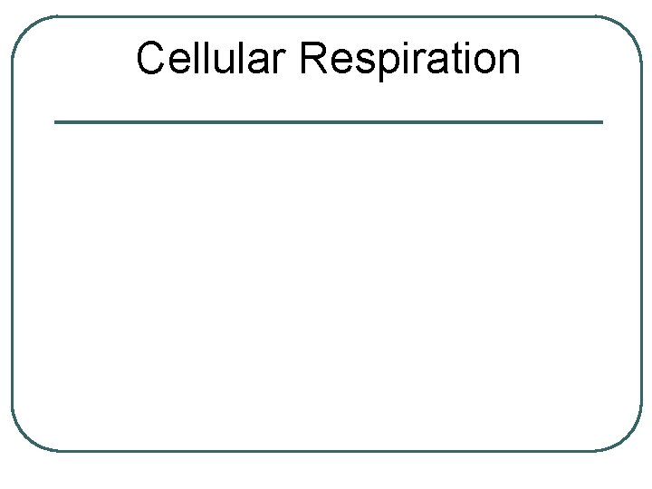 Cellular Respiration 