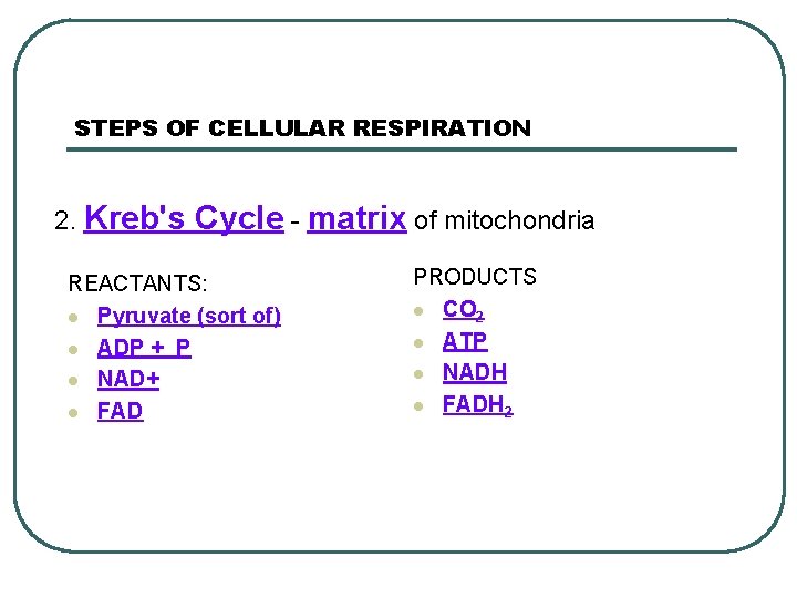 STEPS OF CELLULAR RESPIRATION 2. Kreb's Cycle - matrix of mitochondria REACTANTS: l Pyruvate