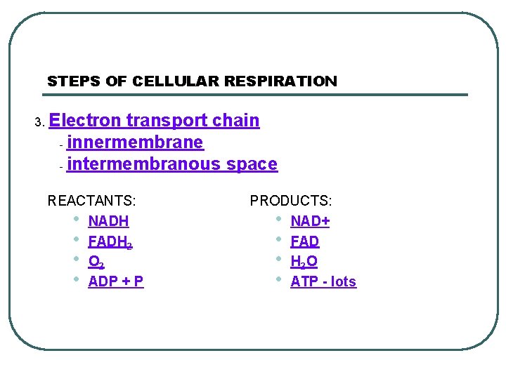 STEPS OF CELLULAR RESPIRATION 3. Electron transport chain - innermembrane - intermembranous space REACTANTS: