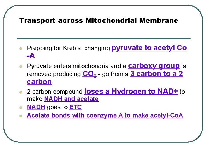 Transport across Mitochondrial Membrane l Prepping for Kreb’s: changing pyruvate to acetyl Co -A