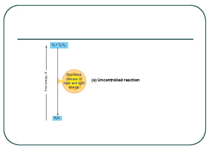 Free energy, G H 2 + 1/2 O 2 Explosive release of heat and