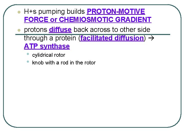 l l H+s pumping builds PROTON-MOTIVE FORCE or CHEMIOSMOTIC GRADIENT protons diffuse back across