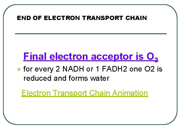 END OF ELECTRON TRANSPORT CHAIN Final electron acceptor is O 2 l for every