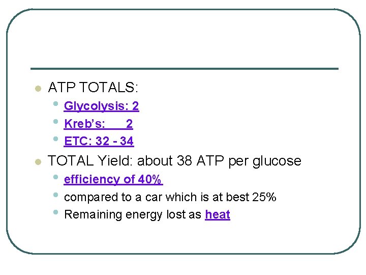 l ATP TOTALS: l TOTAL Yield: about 38 ATP per glucose • Glycolysis: 2