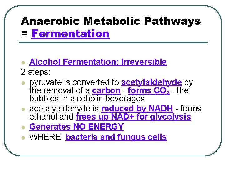 Anaerobic Metabolic Pathways = Fermentation Alcohol Fermentation: Irreversible 2 steps: l pyruvate is converted