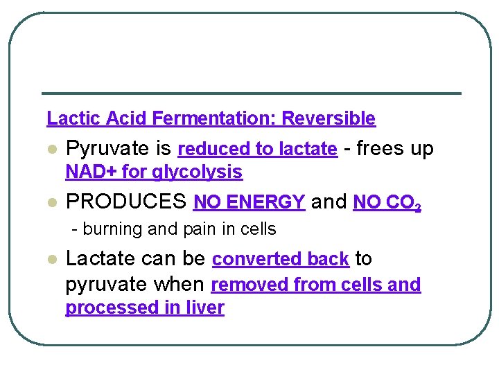 Lactic Acid Fermentation: Reversible l Pyruvate is reduced to lactate - frees up NAD+