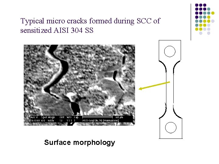 Typical micro cracks formed during SCC of sensitized AISI 304 SS Surface morphology Typical micro cracks formed during SCC of sensitized AISI 304 SS Surface morphology