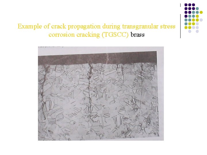 Example of crack propagation during transgranular stress corrosion cracking (TGSCC) brass Example of crack propagation during transgranular stress corrosion cracking (TGSCC) brass