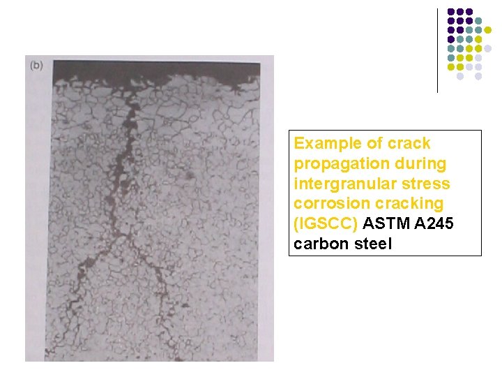 Example of crack propagation during intergranular stress corrosion cracking (IGSCC) ASTM A 245 carbon Example of crack propagation during intergranular stress corrosion cracking (IGSCC) ASTM A 245 carbon