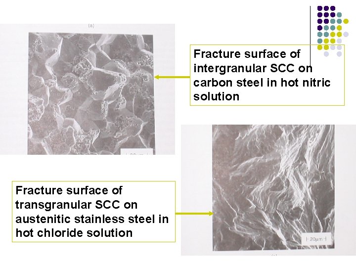 Fracture surface of intergranular SCC on carbon steel in hot nitric solution Fracture surface Fracture surface of intergranular SCC on carbon steel in hot nitric solution Fracture surface