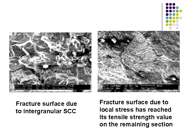 Fracture surface due to intergranular SCC Fracture surface due to local stress has reached Fracture surface due to intergranular SCC Fracture surface due to local stress has reached