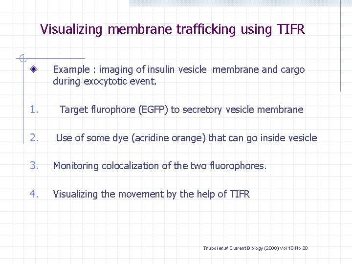 Visualizing membrane trafficking using TIFR Example : imaging of insulin vesicle membrane and cargo
