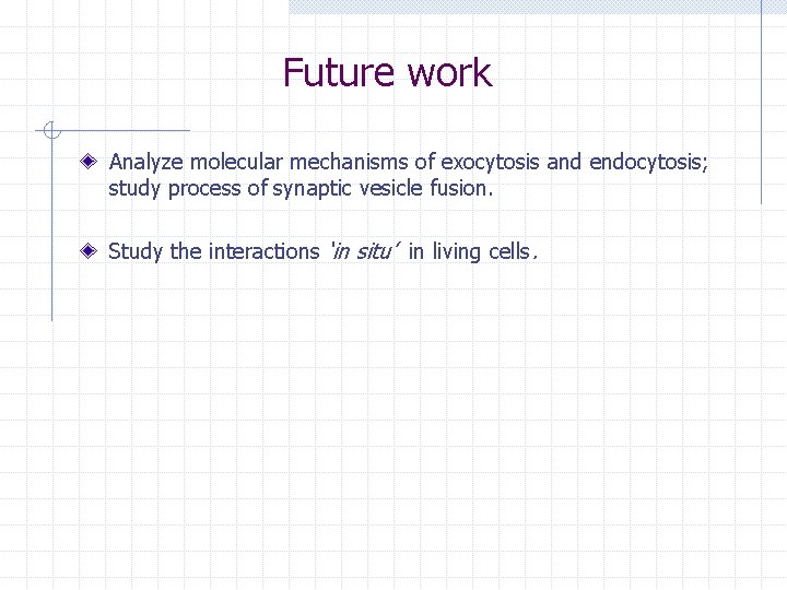 Future work Analyze molecular mechanisms of exocytosis and endocytosis; study process of synaptic vesicle