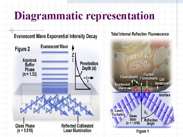 Diagrammatic representation 