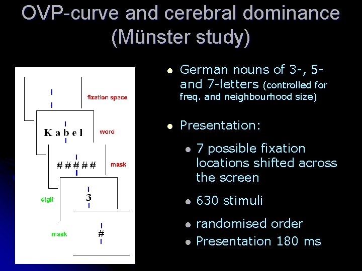 OVP-curve and cerebral dominance (Münster study) l German nouns of 3 -, 5 and