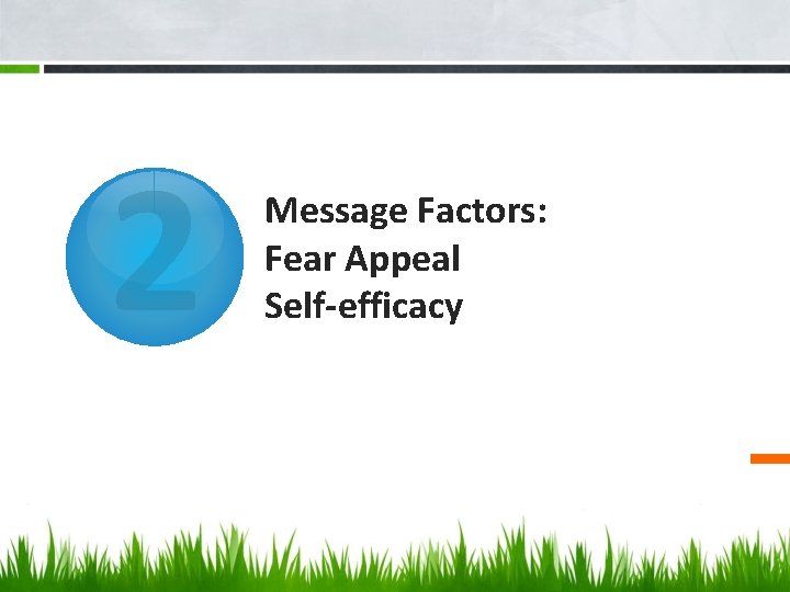 2 Message Factors: Fear Appeal Self-efficacy 